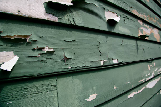 Best Commercial Junk Removal  in Remsenburg Speonk, NY